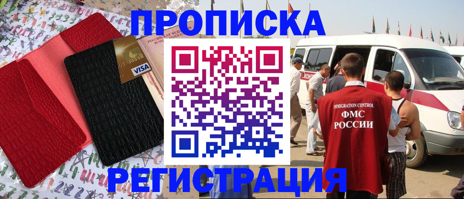 регистрация в Камчатской области